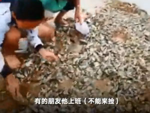 青岛市民捡海鲜啥情况 造成海鲜遍地的万万没想到是它