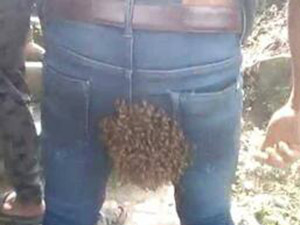 小伙臀部引蜜蜂筑巢是什么原因 详情画面揭
