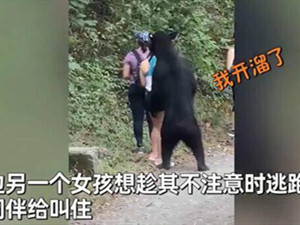 女子路遇野生黑熊被抱住淡定自拍 详细经过